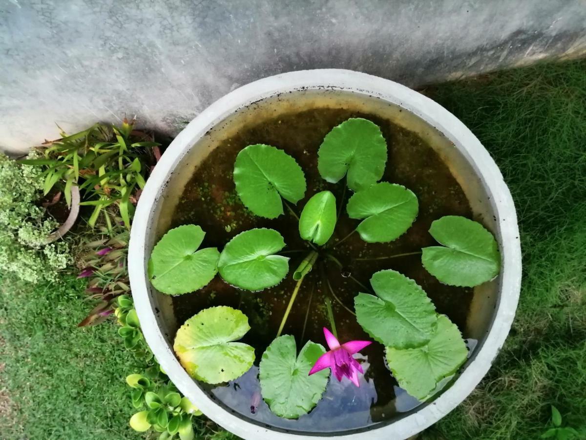 Orchid Villa #10 Hikkaduwa Esterno foto