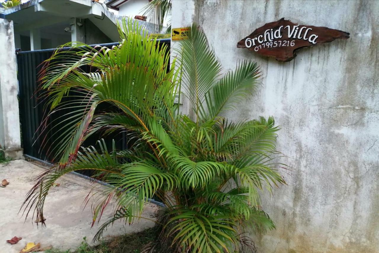 Orchid Villa #10 Hikkaduwa Esterno foto